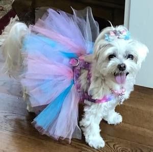 Meet your Posher, Lori